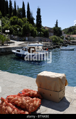 Una bella vista dal molo di Donje Celo Harbour per il villaggio di Donje Celo su Kolocep isola, isole Elafiti. Il Foto Stock