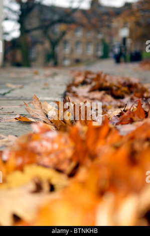 Caduto Foglie di autunno su i ciottoli di Castle Hill, Lancaster, Regno Unito Foto Stock