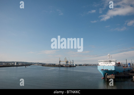 Contenitore di carico nave ormeggiata a Belfast dock Foto Stock