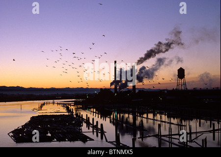 Immagine retrò Alba sopra l'ardesia con pilings e legname in silhouette sul canale con torre d'acqua, Everett, Washington state USA Foto Stock