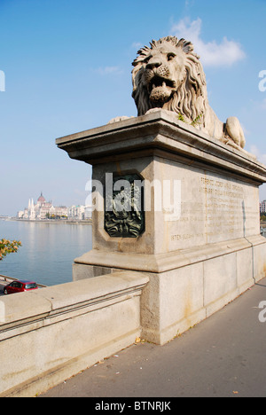 Lion scultura a guardia del lato di Buda ingresso al Ponte delle catene sul Danubio a Budapest. Sullo sfondo: il Parlamento. Foto Stock