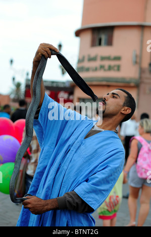 Il serpente incantatore eccitante intrattenimento in Djemaa el Fna a Marrakech. Foto Stock