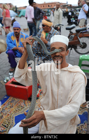 Il serpente incantatore intrattenimento in Djemaa el Fna a Marrakech. Foto Stock