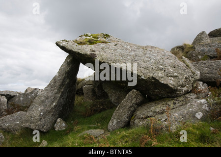 Il granito in dartmoor Foto Stock