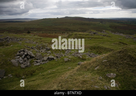 Swelltor, dartmoor Foto Stock