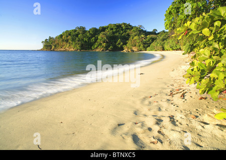 Manuel Antonio Beach, Parco Nazionale di Manuel Antonio, Costa Rica Foto Stock