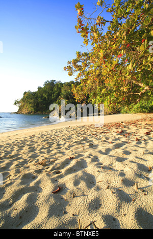 Manuel Antonio Beach, Parco Nazionale di Manuel Antonio, Costa Rica Foto Stock