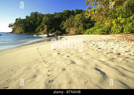 Manuel Antonio Beach, Parco Nazionale di Manuel Antonio, Costa Rica Foto Stock