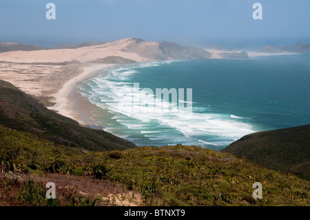 Cape Reinga ,Faro,Cape Maria Van Dieman, spiriti Bay,Te Werahi Beach Motuopao isola, Isola del nord,Nuova Zelanda Foto Stock