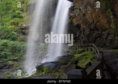 Cade a secco in Nantahala National Forest in Macon County North Carolina USA Foto Stock