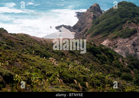 Cape Reinga ,Faro,Cape Maria Van Dieman, spiriti Bay,Te Werahi Beach Motuopao isola, Isola del nord,Nuova Zelanda Foto Stock