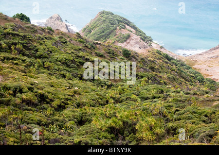 Cape Reinga ,Faro,Cape Maria Van Dieman, spiriti Bay,Te Werahi Beach Motuopao isola, Isola del nord,Nuova Zelanda Foto Stock