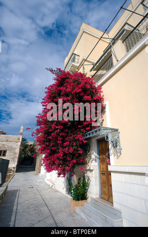 Bella rossa di bougainvillea contro la facciata di una casa in Ermoupolis, sul Greco Cyclade isola di Syros. Foto Stock