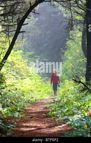 40,461.07589 woman in red camminando verso la telecamera su soleggiate backlighted simili a tunnel sentiero forestale Foto Stock