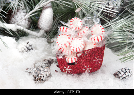Studio shot impostazione di un natale sleigh riempito con colorati holiday starlight conia impostato in un nevoso, pino sfondo. Foto Stock