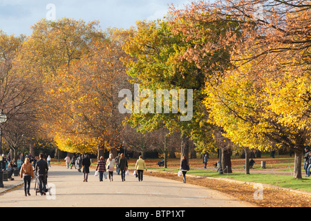 Hyde Park in autunno - Londra Foto Stock