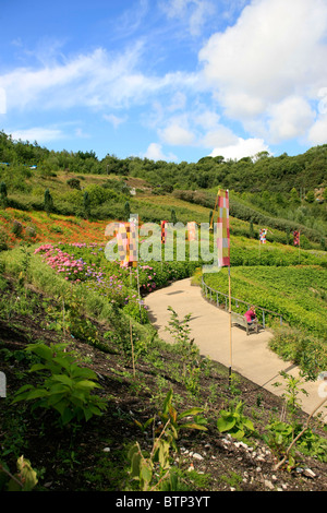 Il lato ovest outdoor Biome all'Eden Project Cornovaglia Foto Stock