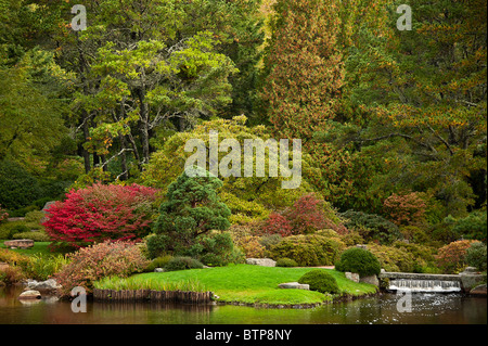 Azalea Asticou giardino pubblico, Northeast Harbor, Maine, Stati Uniti d'America Foto Stock