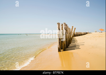 Cap Ferret, Cote d' Argent, Francia Foto Stock