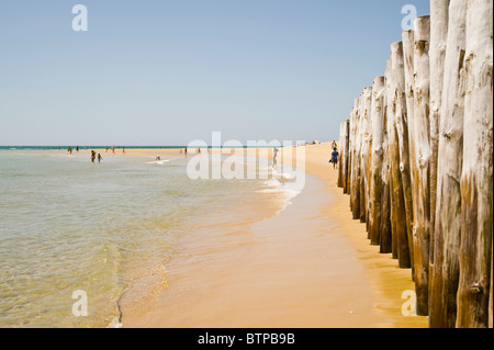 Cap Ferret, Cote d' Argent, Francia Foto Stock