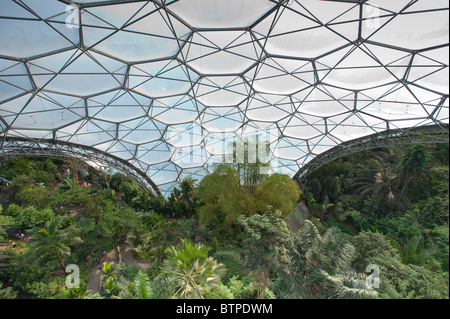 Vista dalla nuova (2010) piattaforma di osservazione, in alto nell'umido biome. Foto Stock