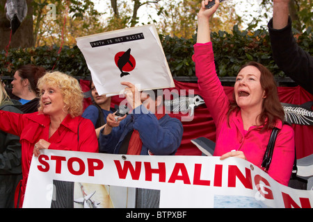 Manifestanti durante un anti-caccia alla balena protesta al di fuori dell'Ambasciata giapponese Foto Stock