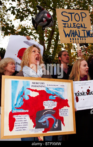Manifestanti durante un anti-caccia alla balena protesta al di fuori dell'Ambasciata giapponese Foto Stock