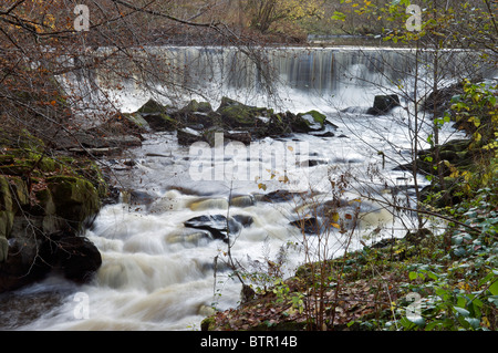 Fiume a Darwen Hoghton Bottoms,Lancashire Foto Stock