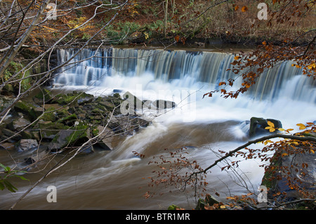 Fiume a Darwen Hoghton Bottoms,Lancashire Foto Stock