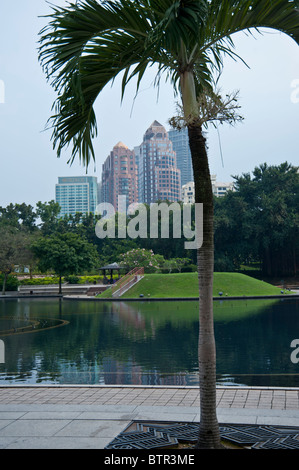 KLCC Park Kuala Lumpur Malaysia mostra alti edifici dietro il lago nel parco incorniciato da un albero di palma. Foto Stock