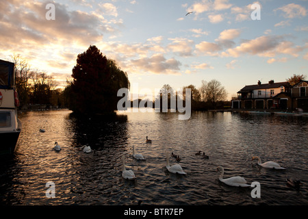 Windsor sul Fiume Tamigi, Berkshire Foto Stock