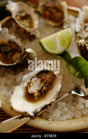 Australia, Oyster con fetta di lime sul ghiaccio tritato Foto Stock