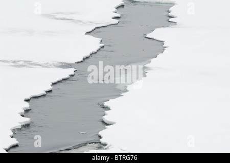 Una chiave di alta immagine di un apertura di cricca di ghiaccio. La foto è stata scattata durante 3 mesi di ricerca in Antartide spedizione. Foto Stock