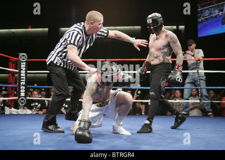 Ellis Mania 5: Ottenere queste risse Fight Night Foto Stock