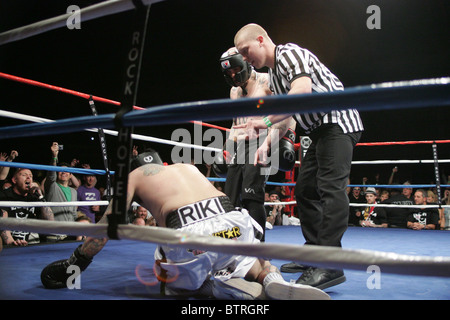 Ellis Mania 5: Ottenere queste risse Fight Night Foto Stock