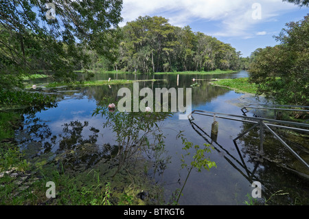 Fiume d'Argento Stato Parco Ocala Florida rampa di barche e canoe area di varo Foto Stock