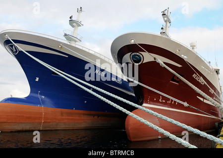 Alcune delle Shetland pelagiche la flotta di pesca legato fino a Lerwick Shetland Foto Stock