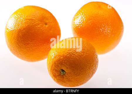 Tre frutti di colore arancione su sfondo bianco Foto Stock