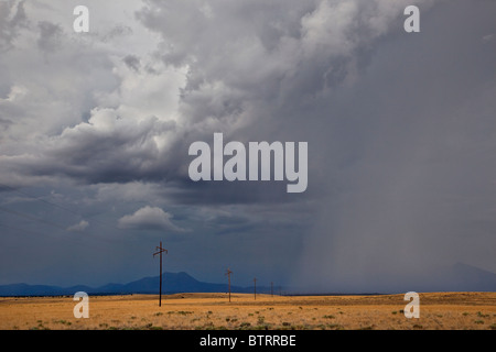 Temporale estivo su praterie vicino autostrada 89 in montagna grigia, Coconino County, Arizona, Stati Uniti d'America Foto Stock