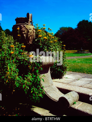 Killruddery House e giardini, Bray, Co Wicklow, Irlanda; pietra urna e Phlomis (Gerusalemme salvia) Foto Stock