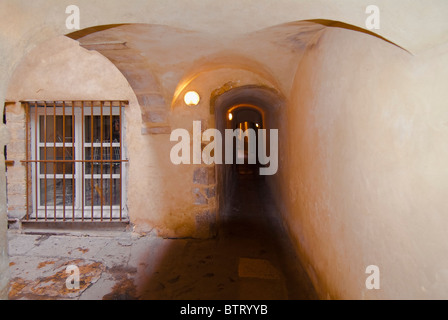 Longue Traboule, Saint Jean distretto, Vieux Lyon distretto , Patrimonio Mondiale UNESCO , Lyon, Francia Foto Stock