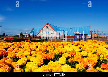 L'Acquario Marino edificio sul lungomare di Rhyl, Clwyd, il Galles del Nord. Foto Stock