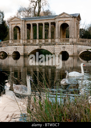 Cigni al ponte Palladin, in Stowe giardini paesaggistici e Buckingham, Bucks, Regno Unito Foto Stock