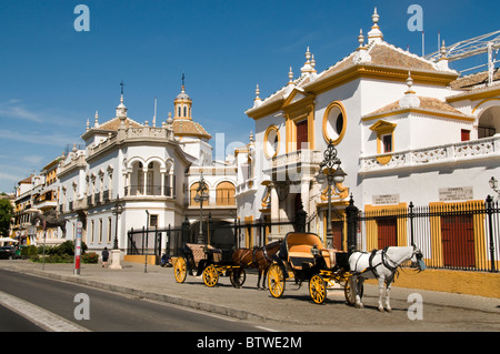 La Plaza de Toros de la Real Maestranza de Caballería de Sevilla è il più antico della corrida in Spagna Andalusia Foto Stock