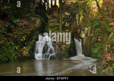 Due cascate a Cwm Ffynone, Pembrokeshire, Wales, Regno Unito Foto Stock