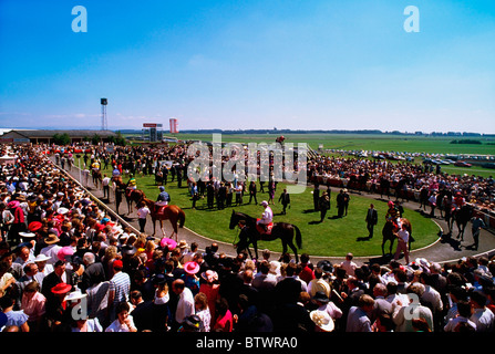 Curragh Race Course, Co Kildare, Irlanda; gli spettatori a guardare i cavalli nell'anello a Derby giorno Foto Stock