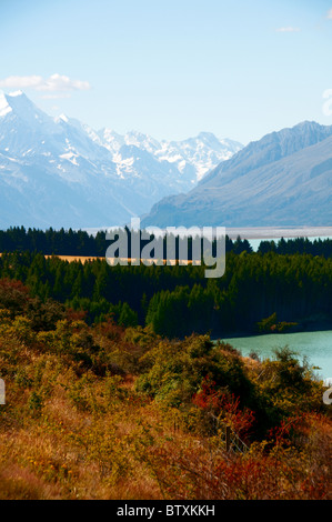 Lago Pukaki,litorale,Mount Cook,Aoraki/Mt Cook gamma,Mt Cook National Park Mackenzie County,Isola del Sud,Nuova Zelanda Foto Stock