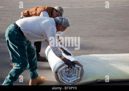 Gruppo di veterani non Weatherization per famiglia Low-Income Foto Stock