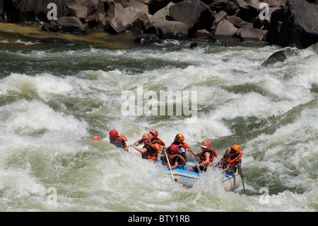 Rafting sul Zambesi, al di sotto della cataratta orientale di Victoria Falls, Zambia Foto Stock