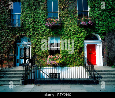 Dublino, Co Dublin, Irlanda; porte georgiano Foto Stock